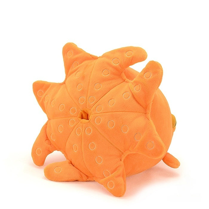 Bottom view of a lifelike Dumbo Octopus plush, showcasing detailed suction design and soft material