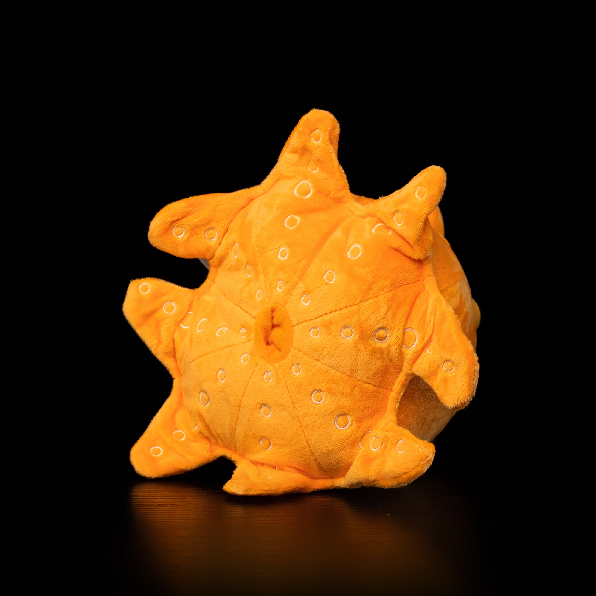 Bottom view of Dumbo Octopus plush by SoftDaysLab®, with realistic details inspired by the deep-sea creature