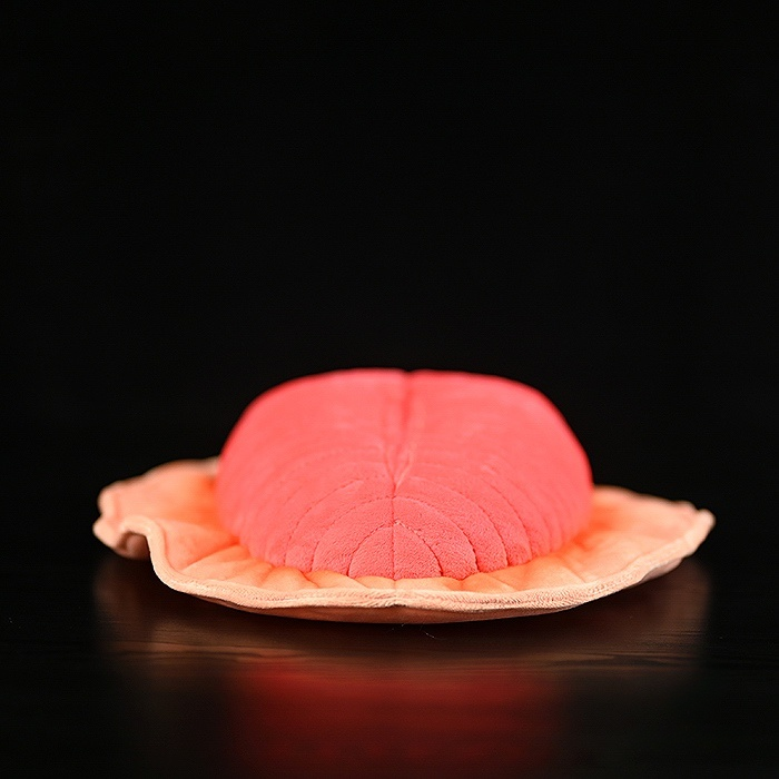 Dickinsonia Prehistoric Creature Plush Toy – Soft, Lifelike, and Perfect for Science Lovers