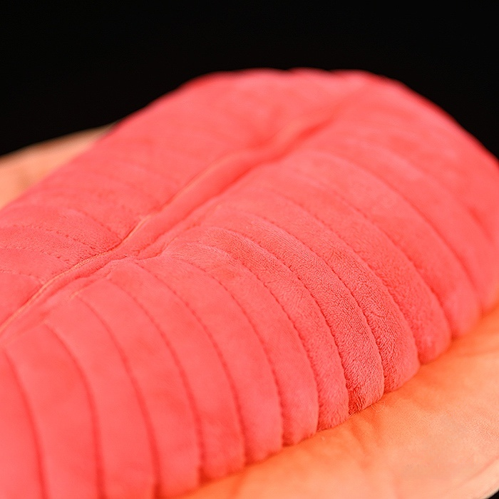 Dickinsonia Prehistoric Creature Plush Toy – Soft, Lifelike, and Perfect for Science Lovers