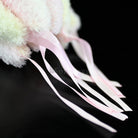 Pink Acromitus Flagellatus Jellyfish Plush Toy – Soft, Realistic, and Perfect for Ocean Lovers