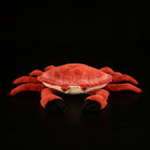 Realistic Edible Crab Plush Toy – Soft Stuffed Marine Animal