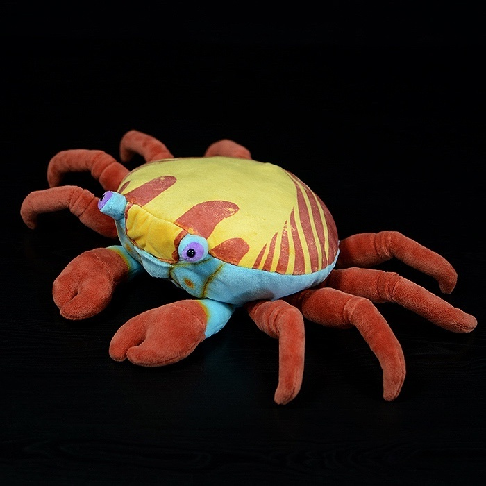 Full top view of Sally Lightfoot Crab plush toy, vibrant marine animal stuffed toy by SoftDaysLab