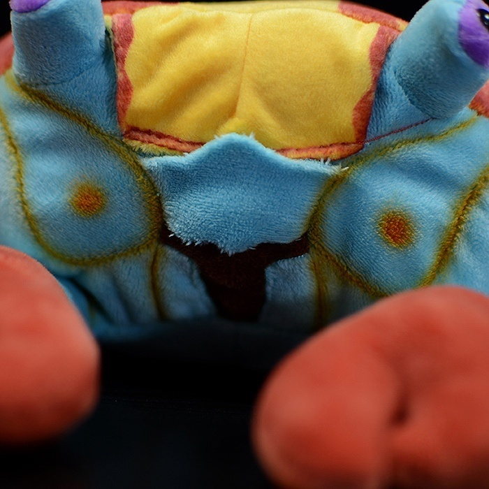 Close-up of Sally Lightfoot Crab plush underside, showcasing vibrant colors and realistic details by SoftDaysLab