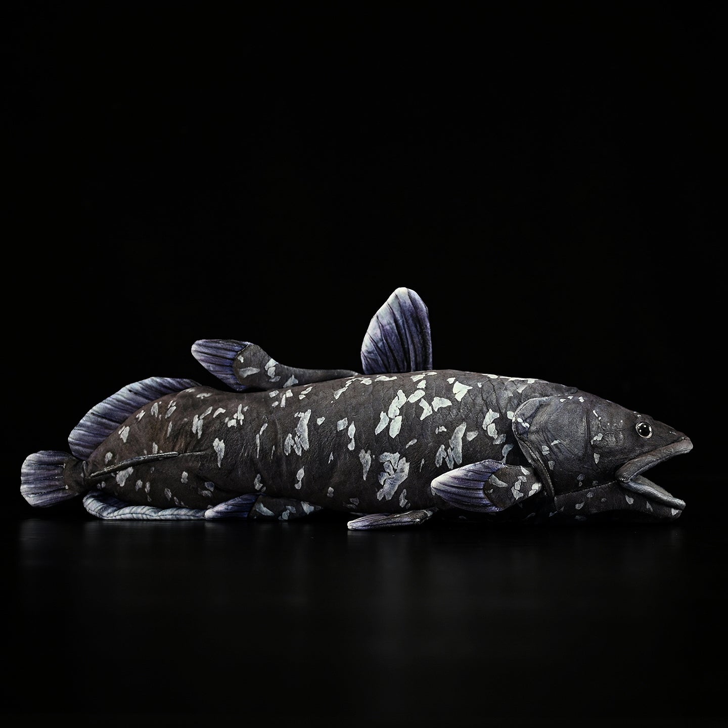 Realistic Latimeria coelacanth plush toy by SoftDaysLab, showcasing a full-body side view with lifelike details