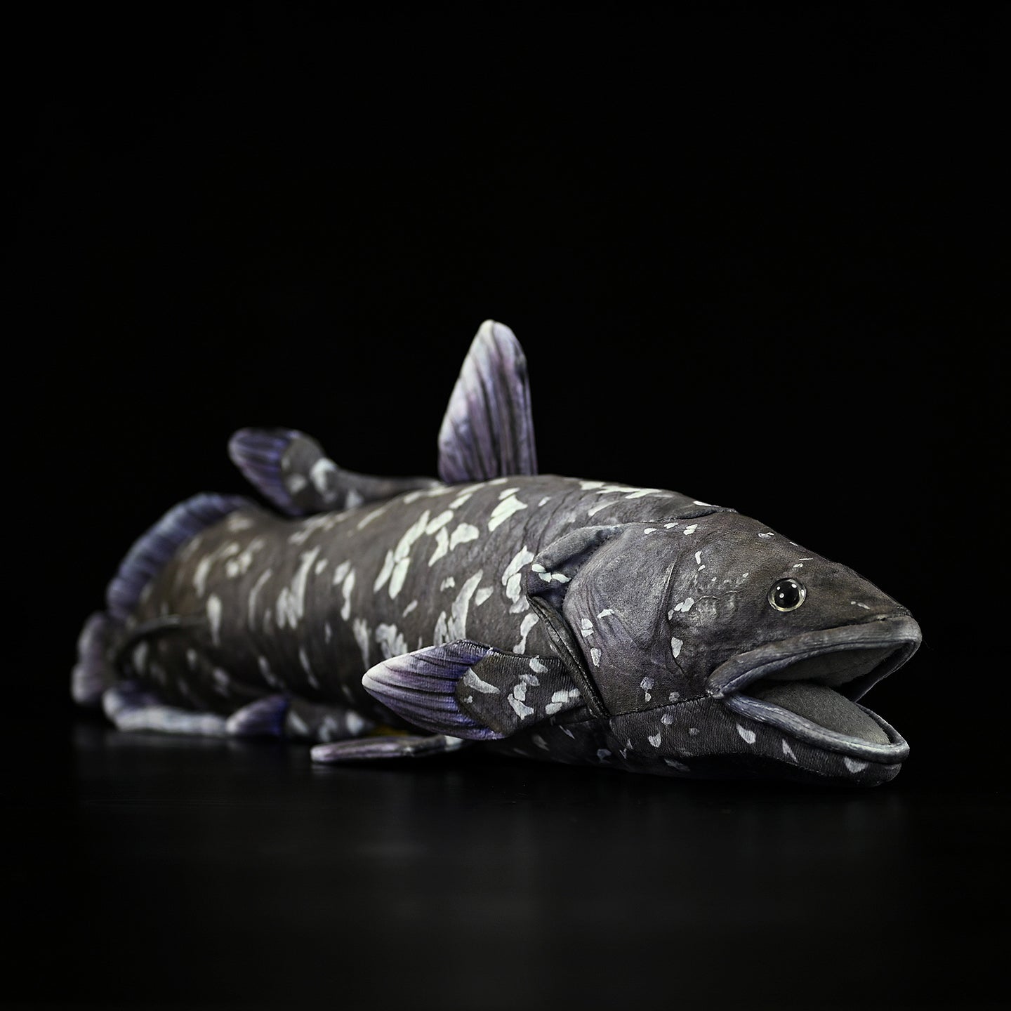 Latimeria coelacanth plush stuffed animal with an open-mouth front-side angle, detailed deep-sea fish design