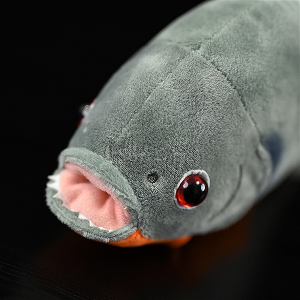 Lifelike Red-Bellied Piranha Fish Plush Toy – Soft and Unique