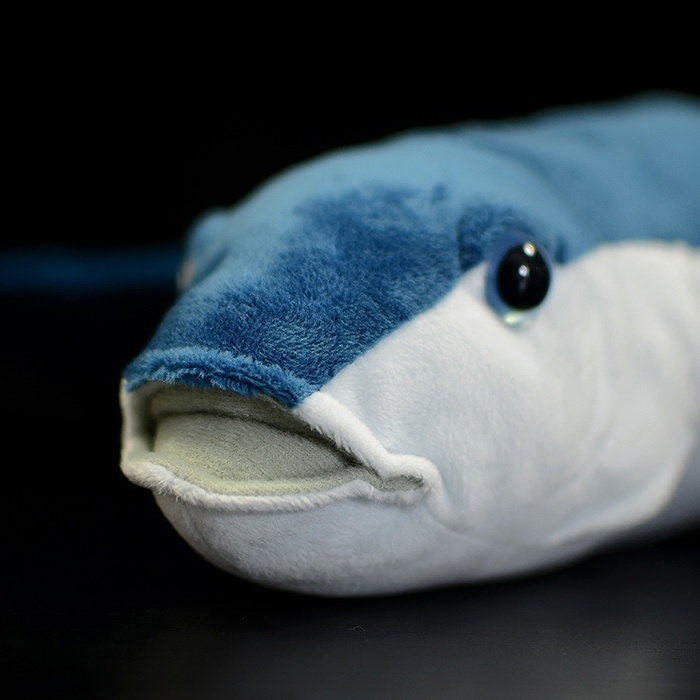 Close-up of the flying fish plush toy’s lifelike face and soft blue fabric design