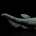 Realistic Deep-Sea Frilled Shark Plush Toy – Soft and Mesmerizing Ocean Gift