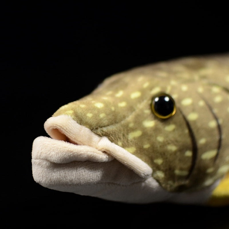 Close-up of northern pike plush toy’s face showing lifelike design and golden eye details by SoftDaysLab