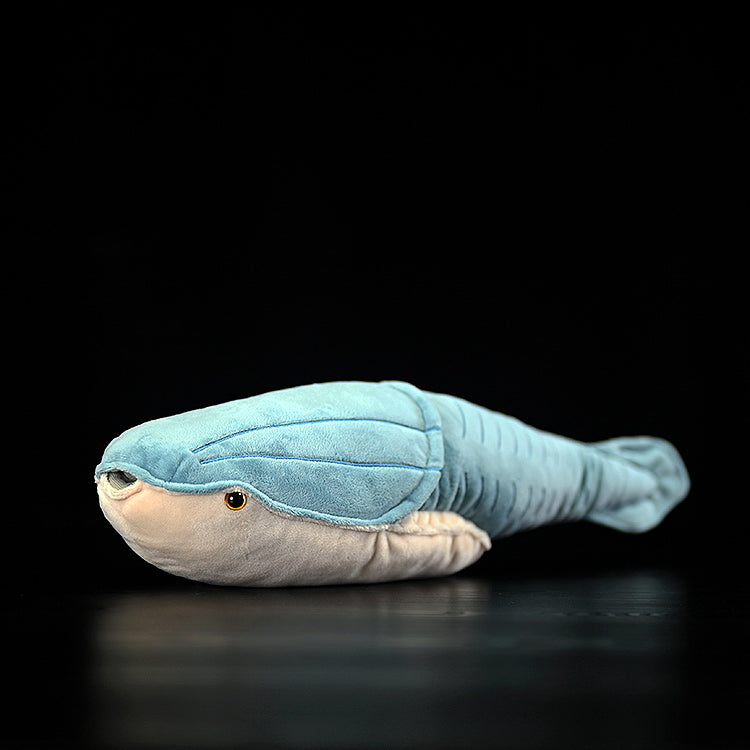 Arandaspis Prehistoric Fish Plush Toy – Soft and Adorable Toy for Science Enthusiasts