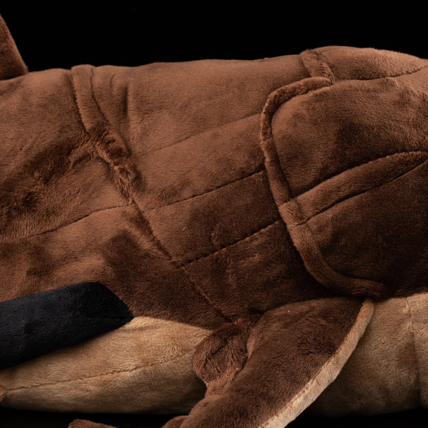 Close-up of Dunkleosteus plush thick head armor with realistic brown details and prehistoric design appeal
