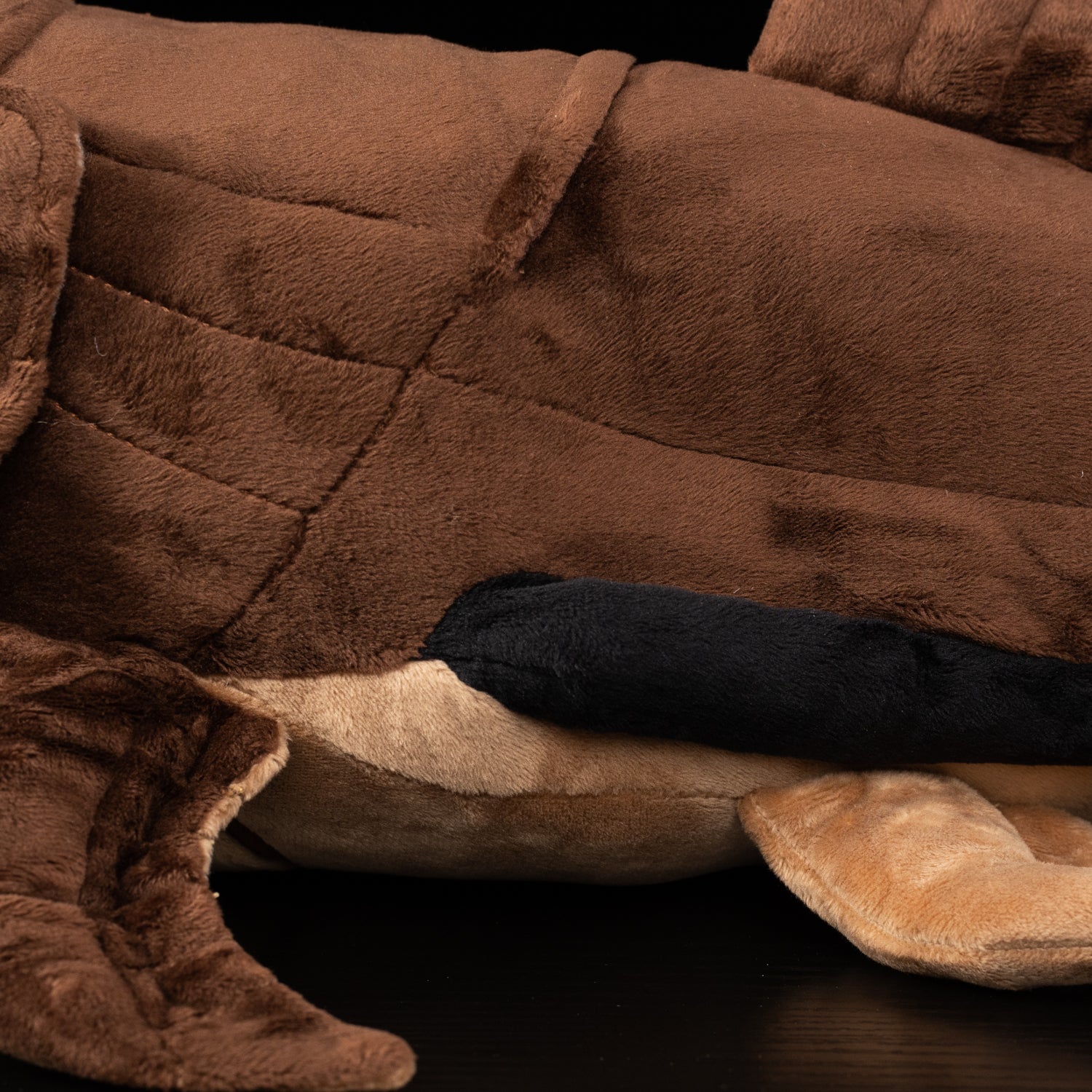 Body close-up of Dunkleosteus plush with lifelike texture, detailed stitching, and a realistic body design