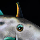 Close-up of Greenfin Horse-Faced Filefish plush’s eye and fin, showcasing lifelike marine animal details
