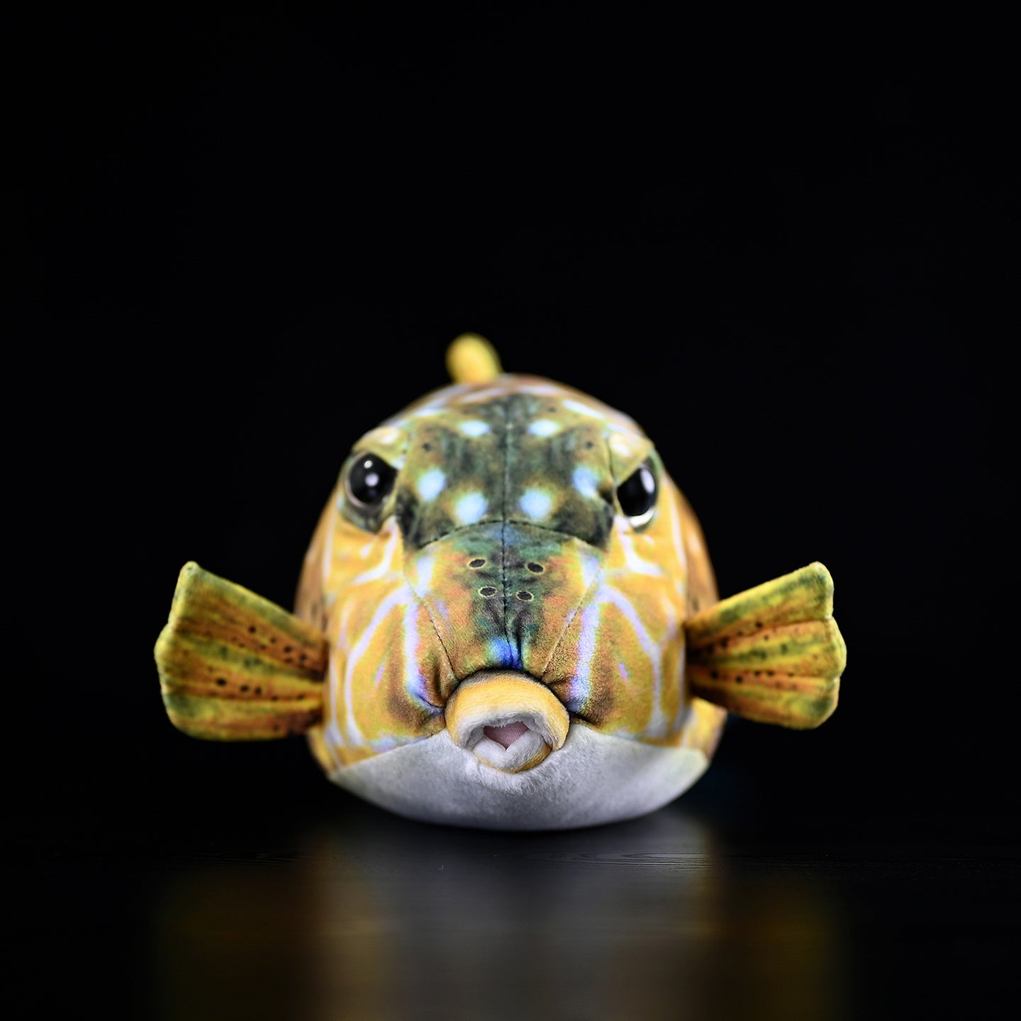 Front view of Immaculate Boxfish Plush showcasing lifelike details and vibrant colors