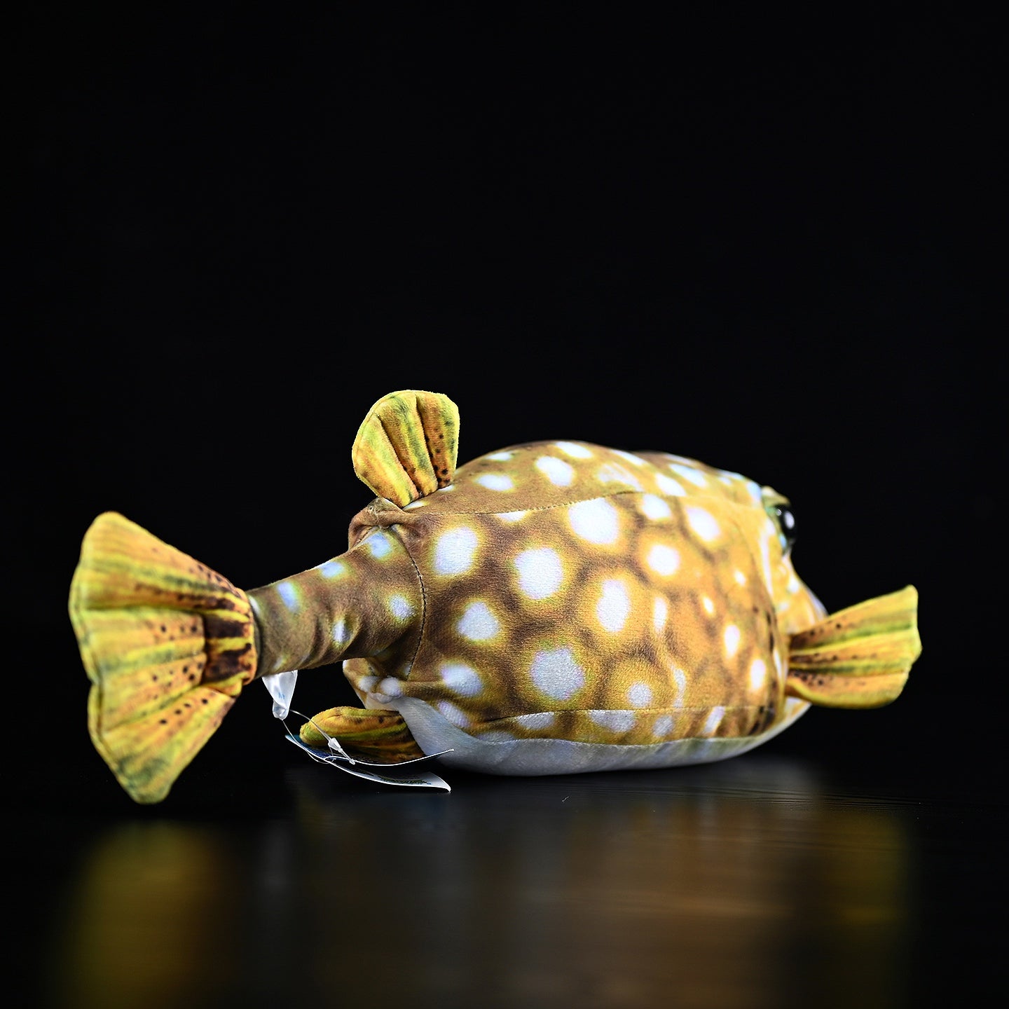 Rear view of Immaculate Boxfish Plush with its distinctive tail and detailed spotted patterns