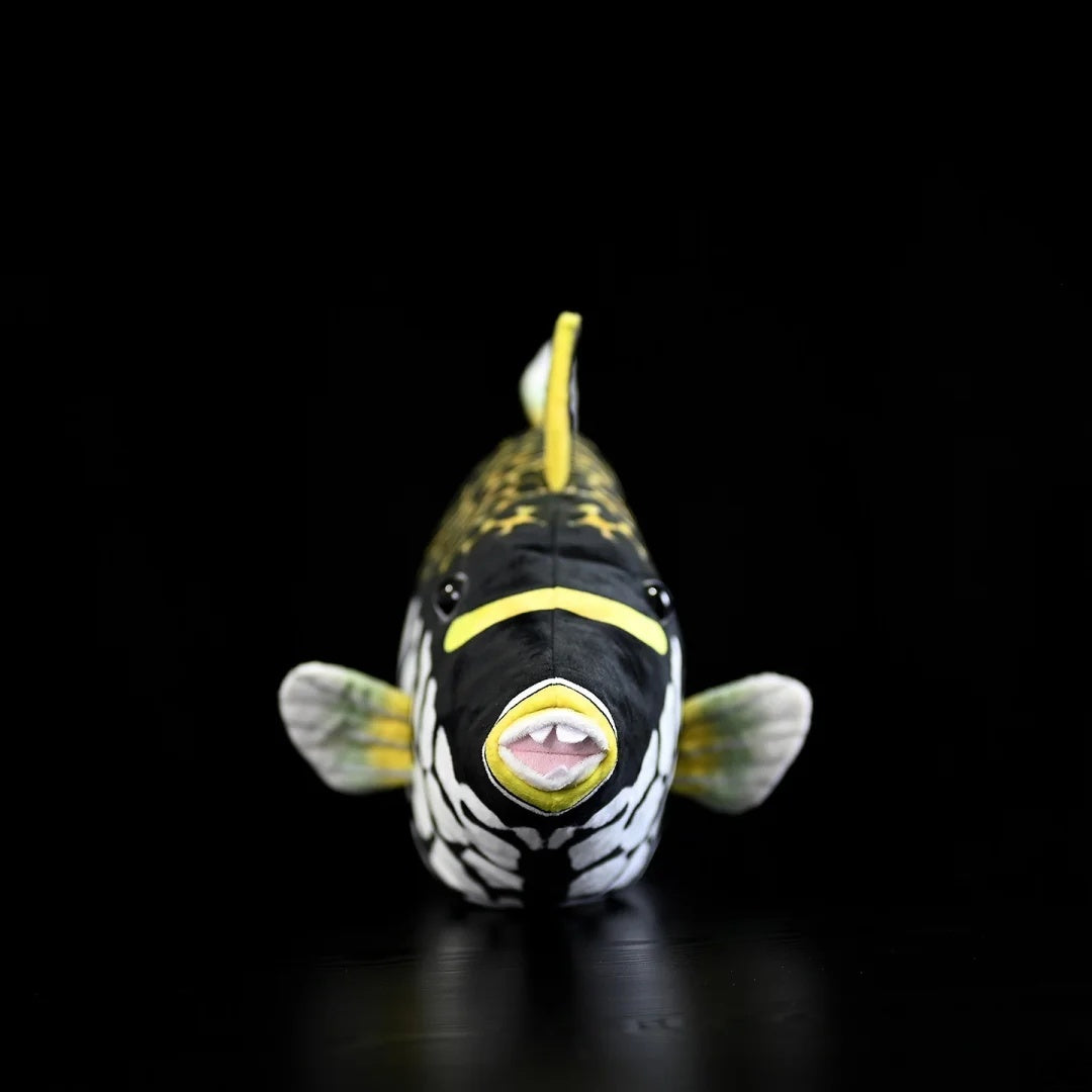 Front view of the Clown Triggerfish stuffed toy by SoftDaysLab®, showcasing its detailed face and unique design