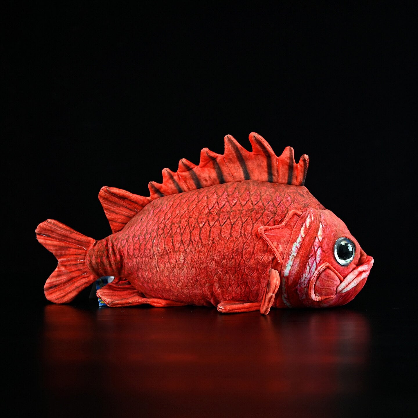 Side profile of SoftDaysLab's Japanese soldierfish (Ebisudai) plush, showcasing detailed red body and natural fish shape
