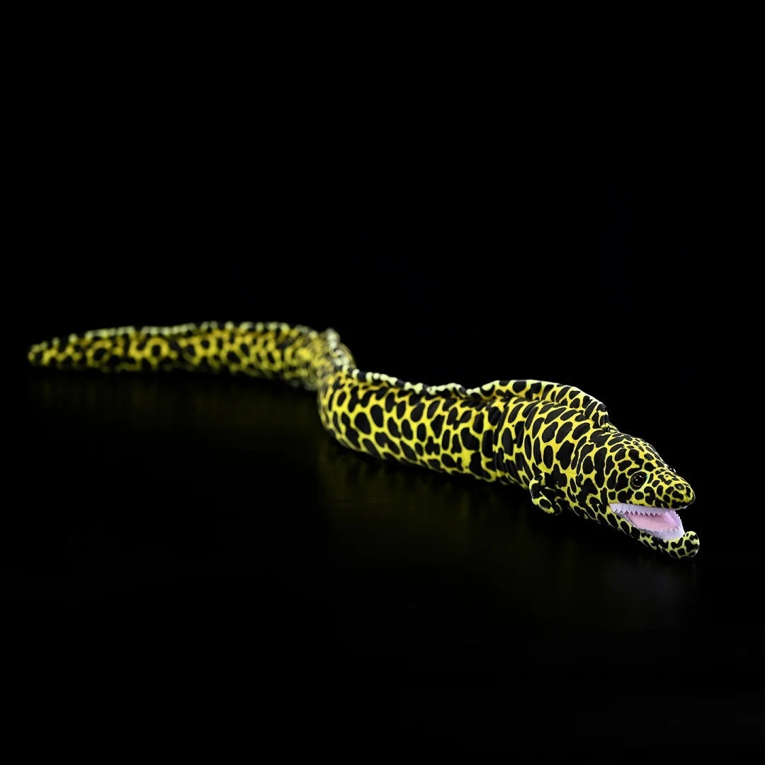 Realistic Honeycomb Moray Eel Plush by SoftDaysLab® with vibrant patterns and lifelike details, perfect for collectors