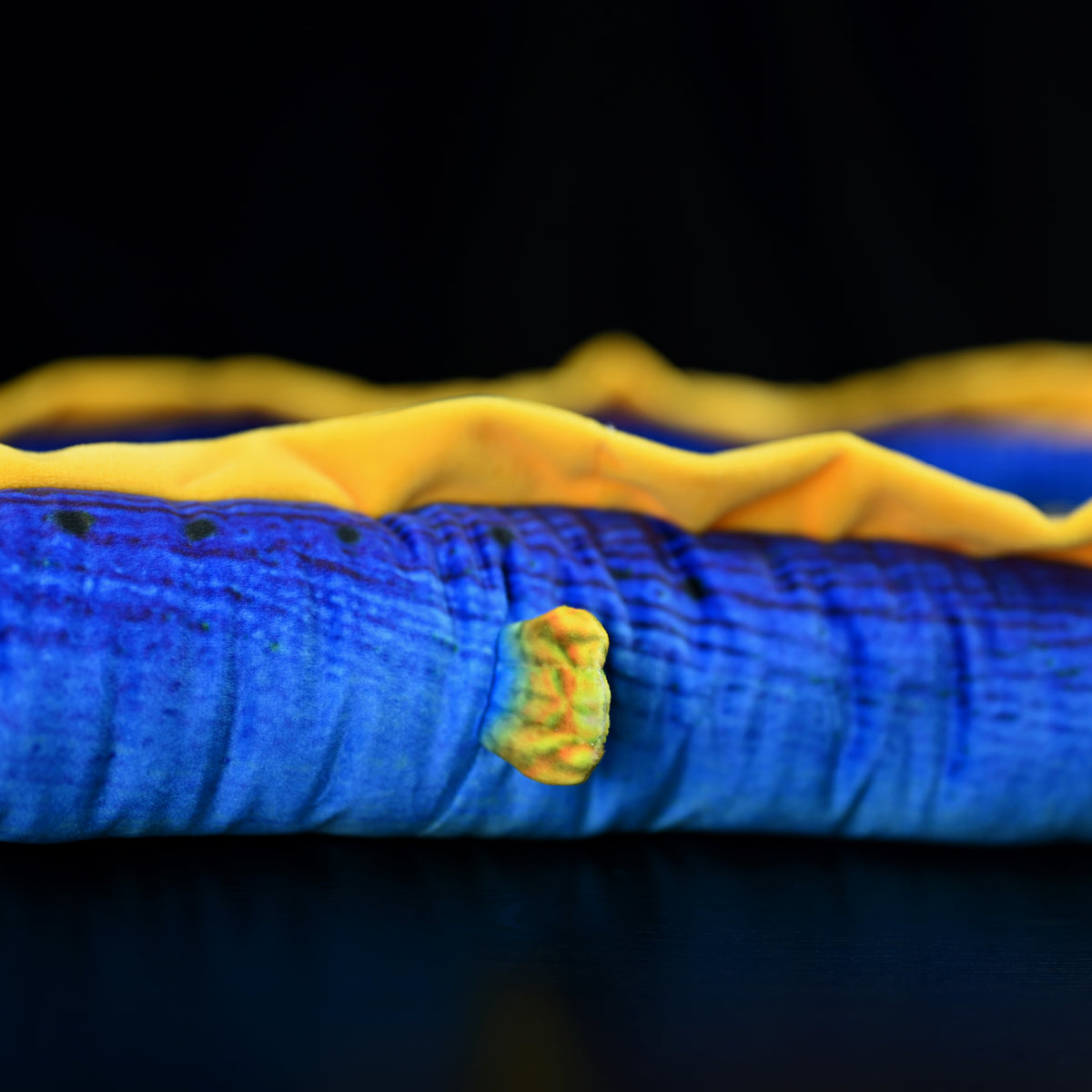 Close-up of the vibrant body textures and yellow fin of the Ribbon Eel Plush Toy by SoftDaysLab®