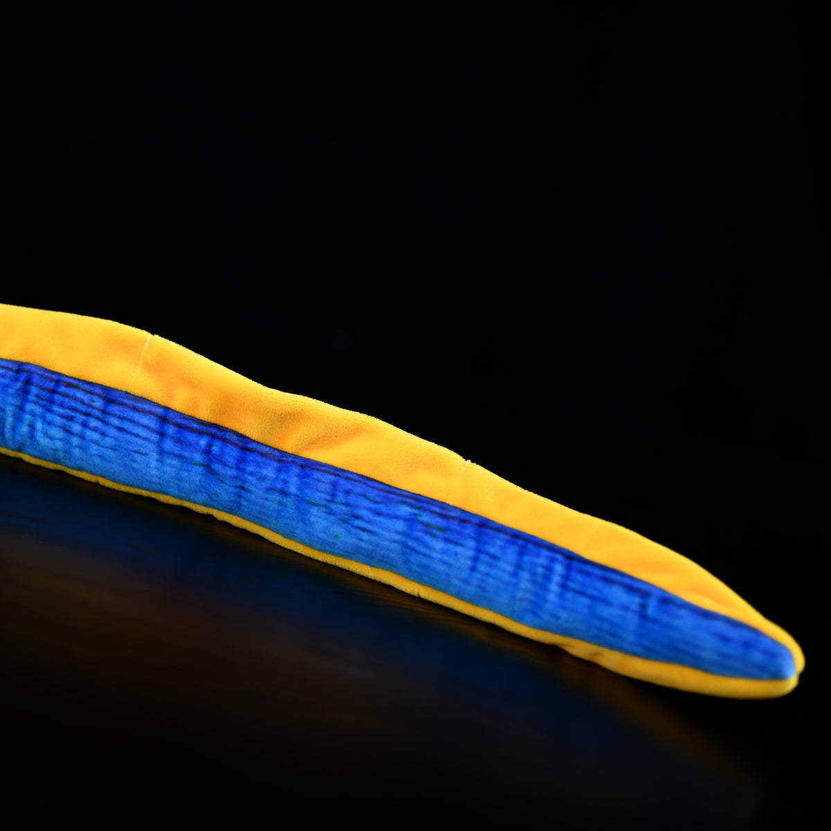 Close-up of the tail of the Ribbon Eel Plush Toy by SoftDaysLab®, showcasing its vibrant blue and yellow coloration with smooth, lifelike detailing