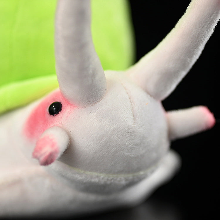 Detailed face of a Leptopoma nitidum snail plush, featuring black eyes and pink antennae for decor or play