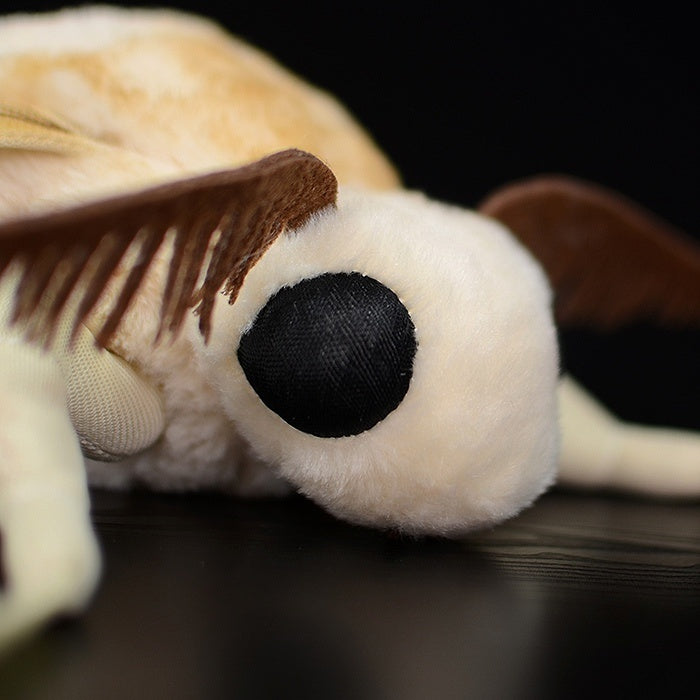 Close-up of Silk Moth plush toy’s head, highlighting realistic black eyes and soft, detailed antennae