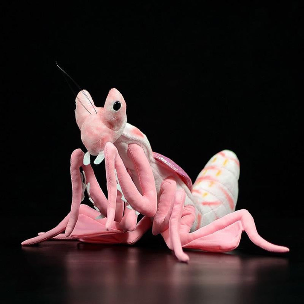 Realistic Pink Orchid Mantis Plush – Lifelike, Soft, and Perfect for Insect Enthusiasts
