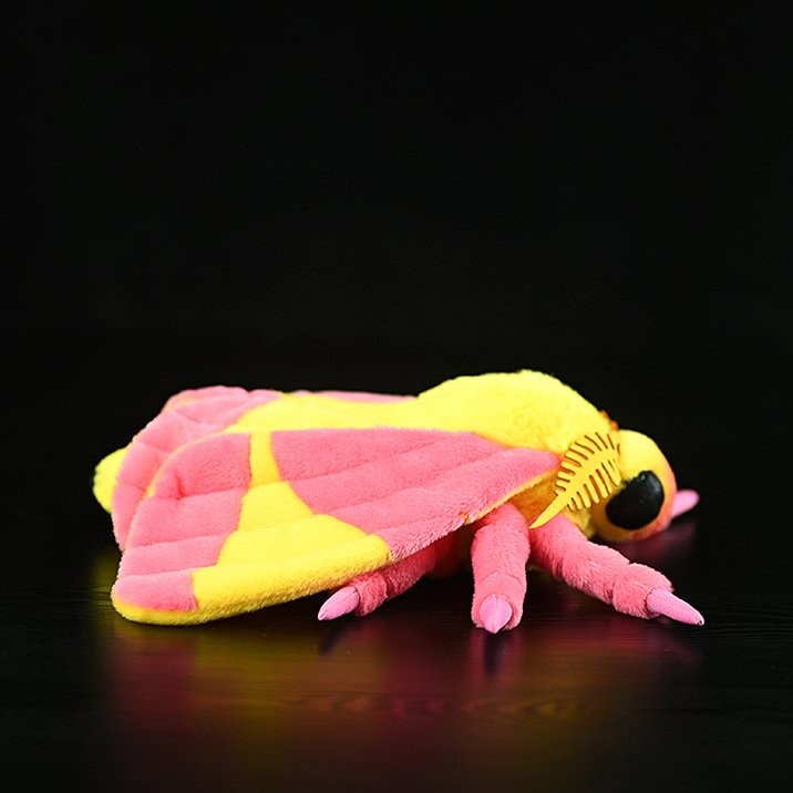 Realistic Rosy Maple Moth Insert Plush – Soft, Lifelike, and Perfect for Nature Lovers