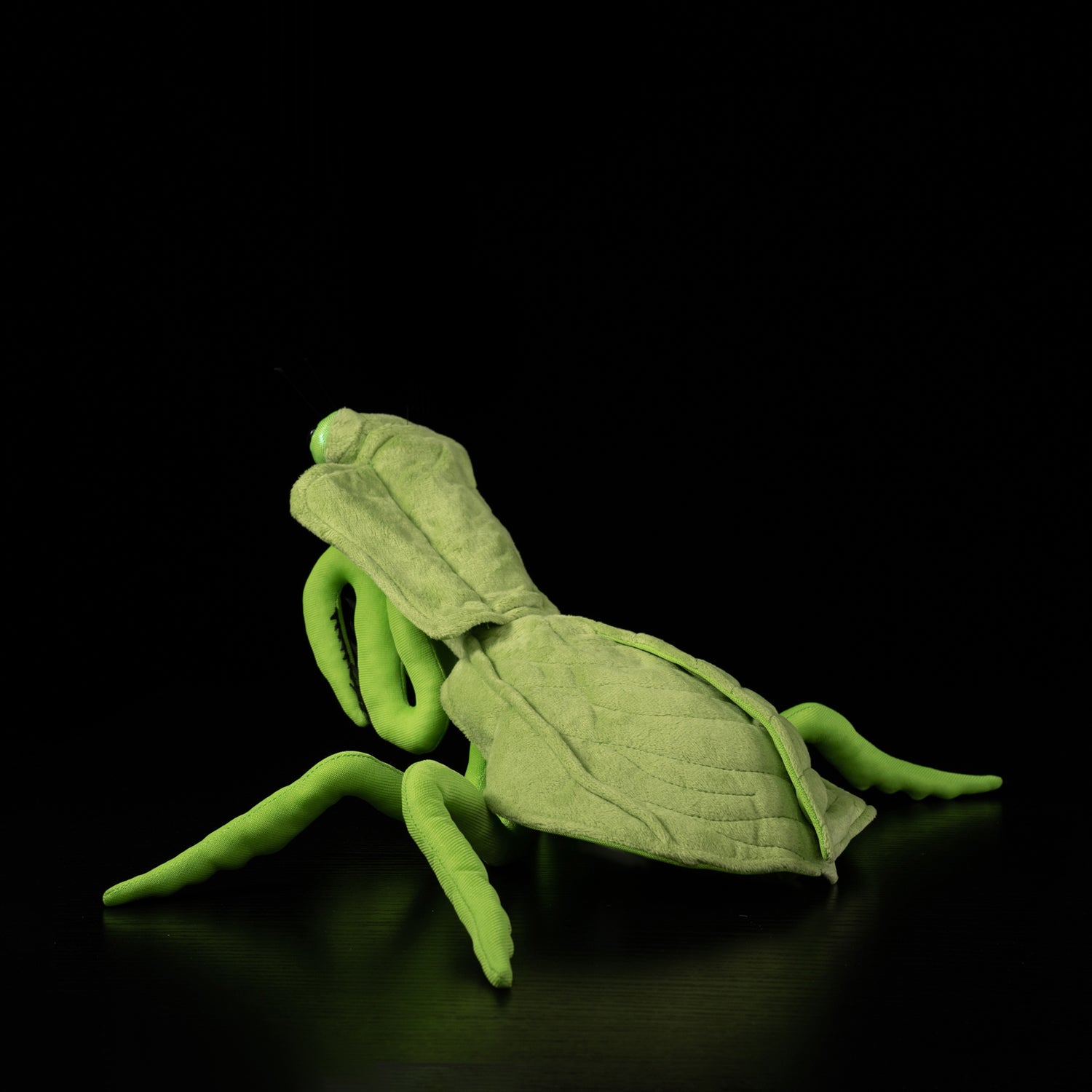 Realistic Leaf Mantis Plush Toy – Perfect for Insect Lovers and Collectors