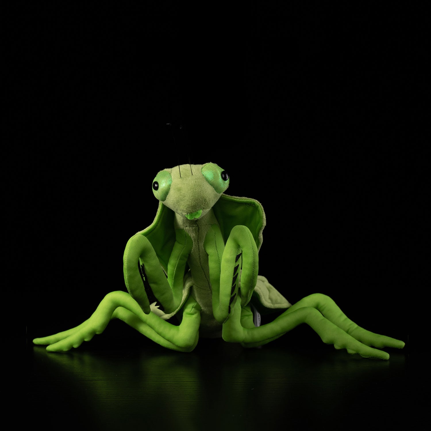 Realistic Leaf Mantis Plush Toy – Perfect for Insect Lovers and Collectors