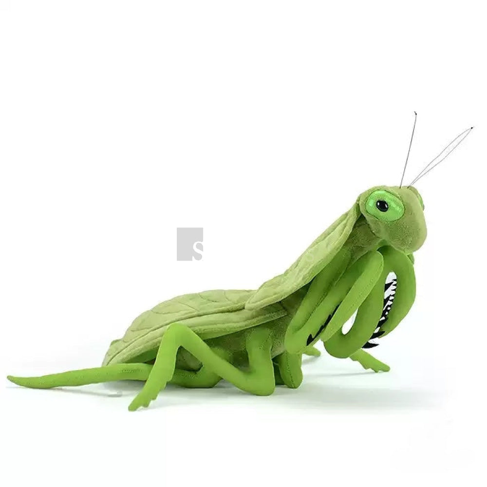 Realistic Leaf Mantis Plush Toy – Perfect for Insect Lovers and Collectors