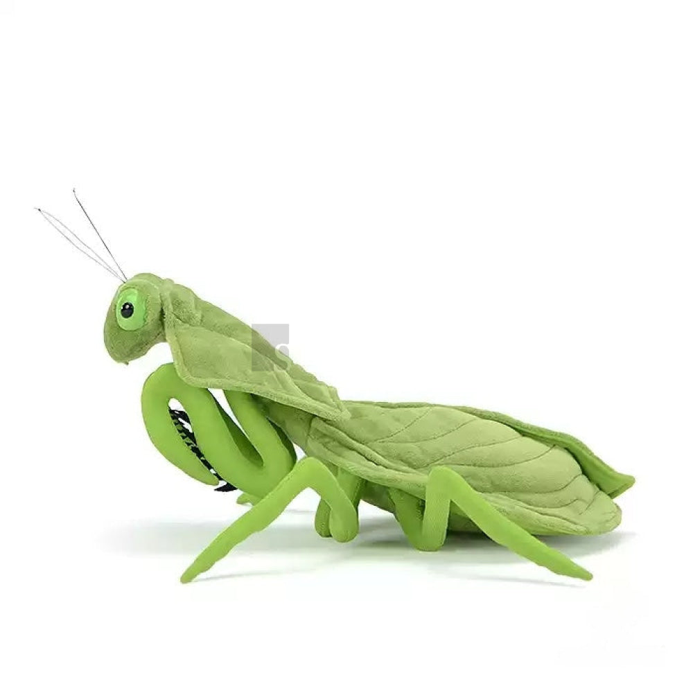 Realistic Leaf Mantis Plush Toy – Perfect for Insect Lovers and Collectors