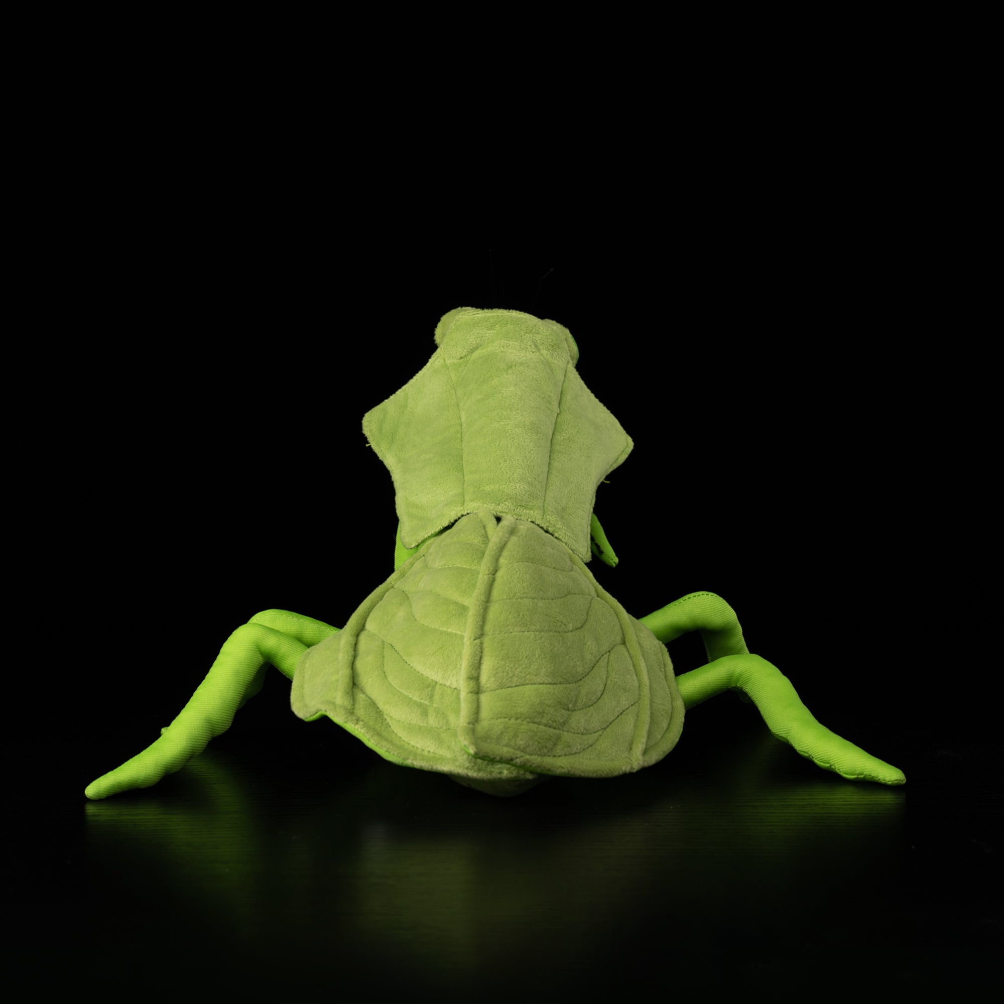 Back view of SoftDaysLab® Shield Mantis plush, highlighting its leaf-like thoracic shield