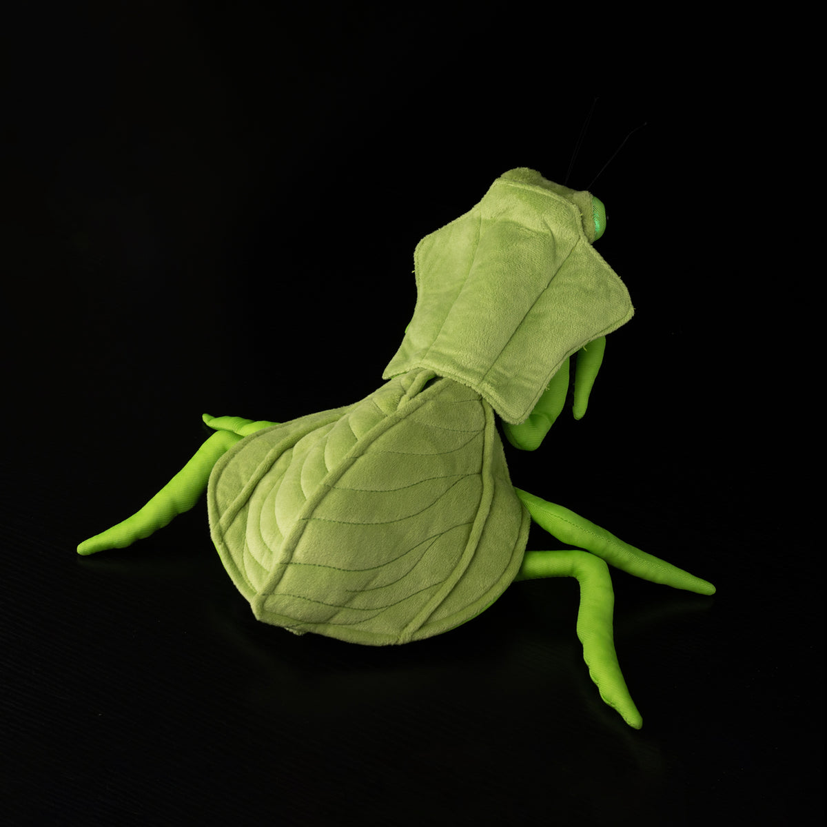 Top view of the leaf-inspired design of SoftDaysLab® Shield Leaf Mantis plush, perfect for display