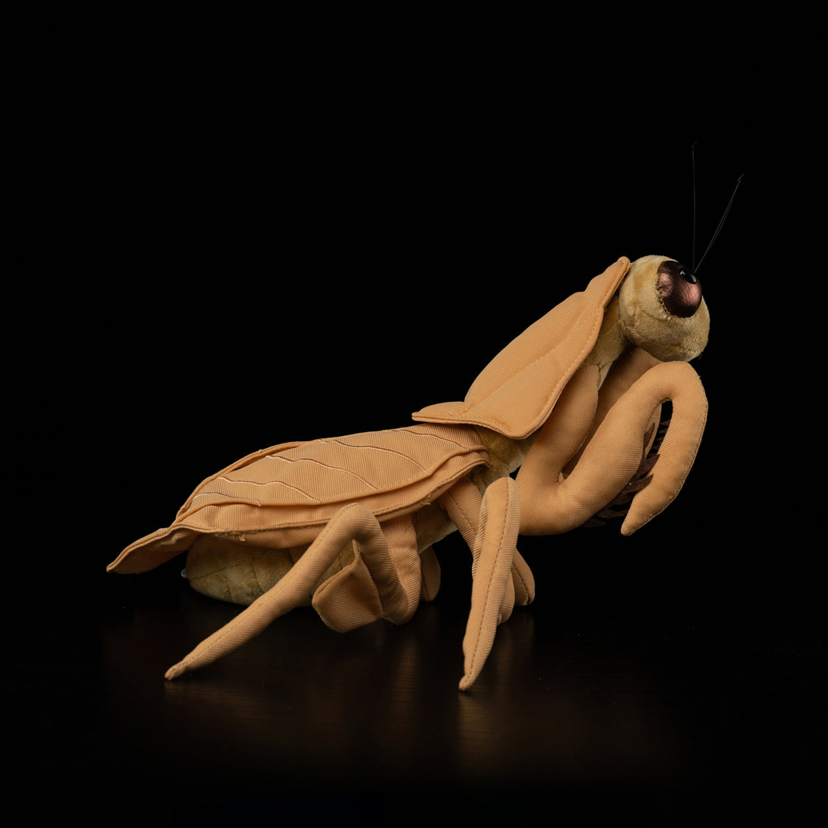 Realistic Dead Leaf Mantis plush toy side profile by SoftDaysLab®, mimicking Deroplatys mantis
