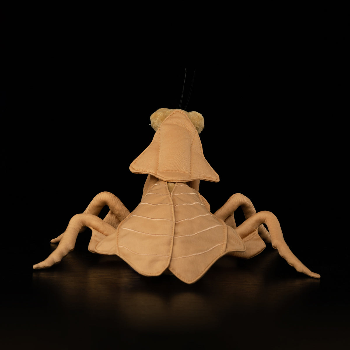 Back view of Dead Leaf Mantis plush by SoftDaysLab®, resembling a real Deroplatys mantis leaf camouflage