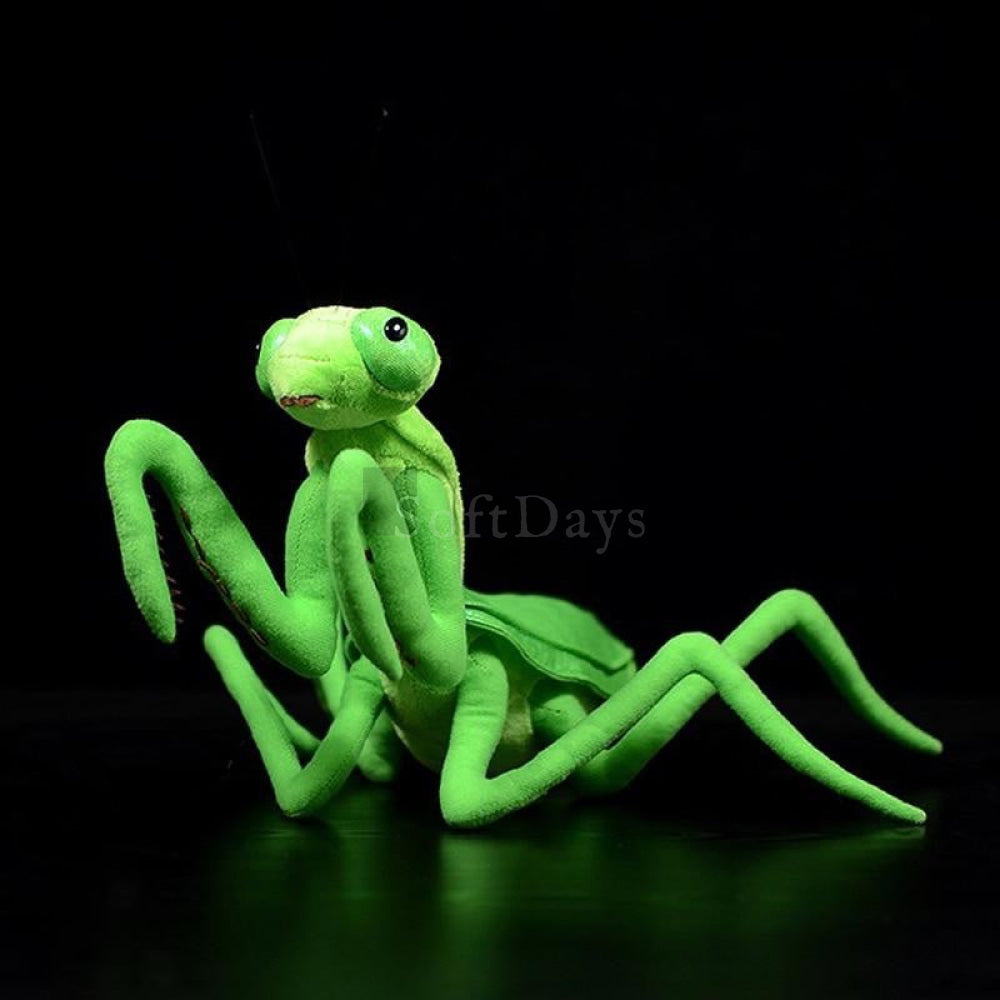 Realistic Green Chinese Mantis Plush Toy – Lifelike, Soft, and Perfect for Insect Enthusiasts