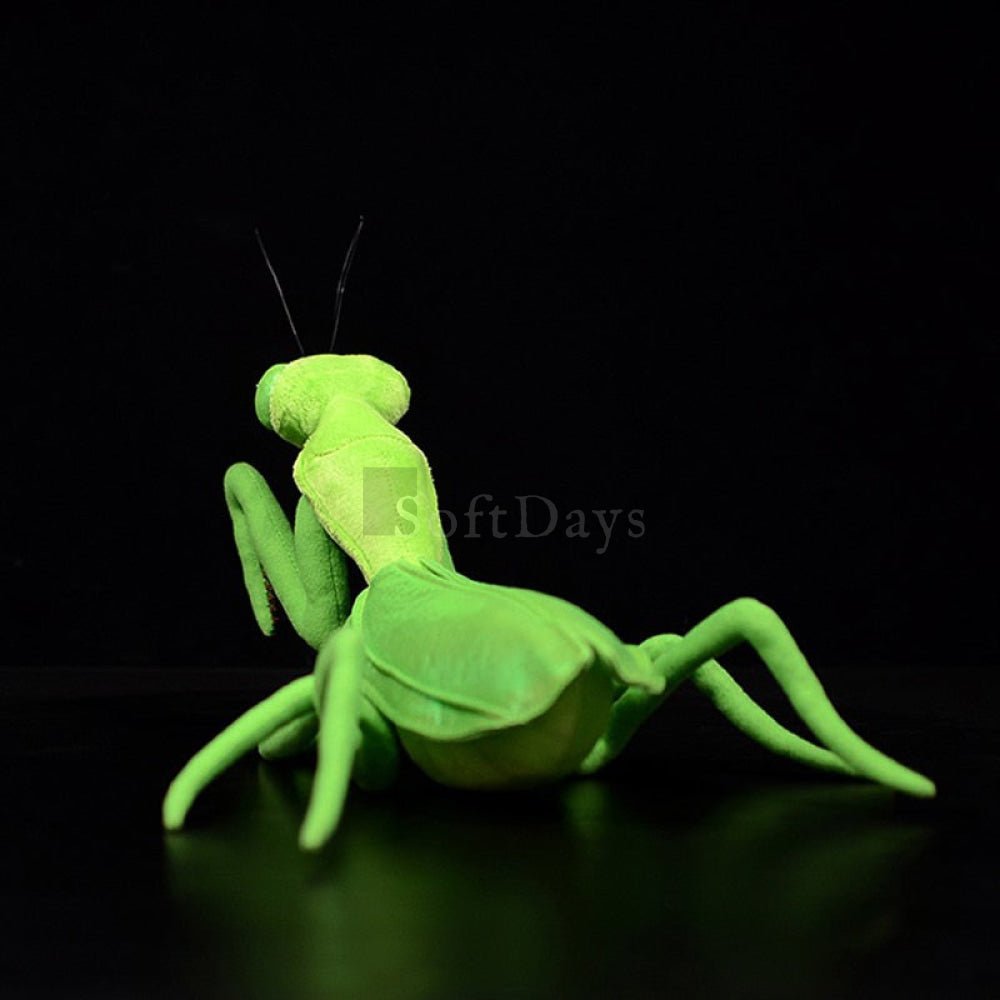 Realistic Green Chinese Mantis Plush Toy – Lifelike, Soft, and Perfect for Insect Enthusiasts