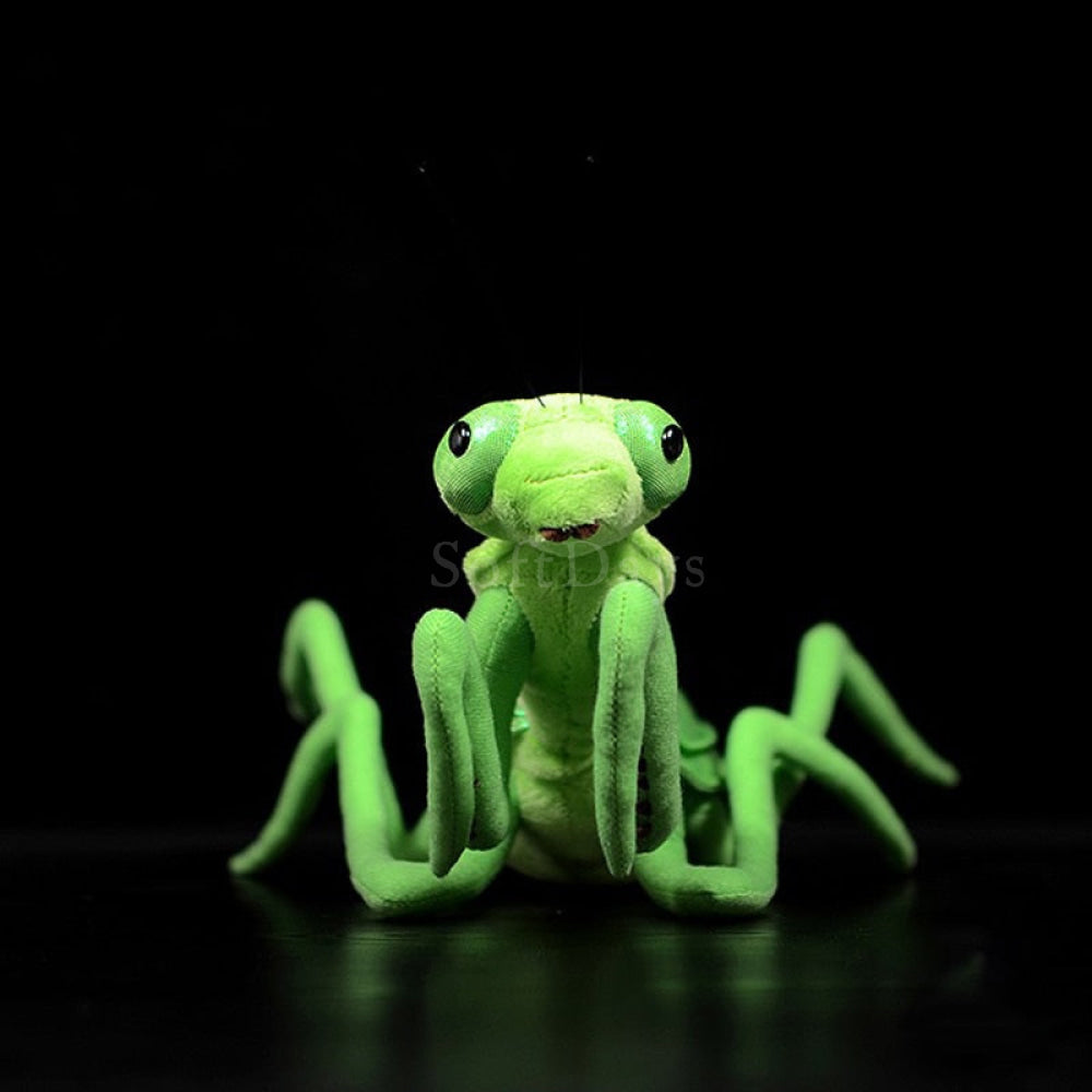 Realistic Green Chinese Mantis Plush Toy – Lifelike, Soft, and Perfect for Insect Enthusiasts