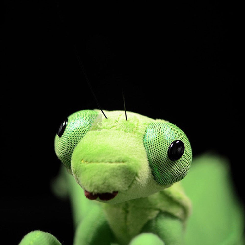 Realistic Green Chinese Mantis Plush Toy – Lifelike, Soft, and Perfect for Insect Enthusiasts