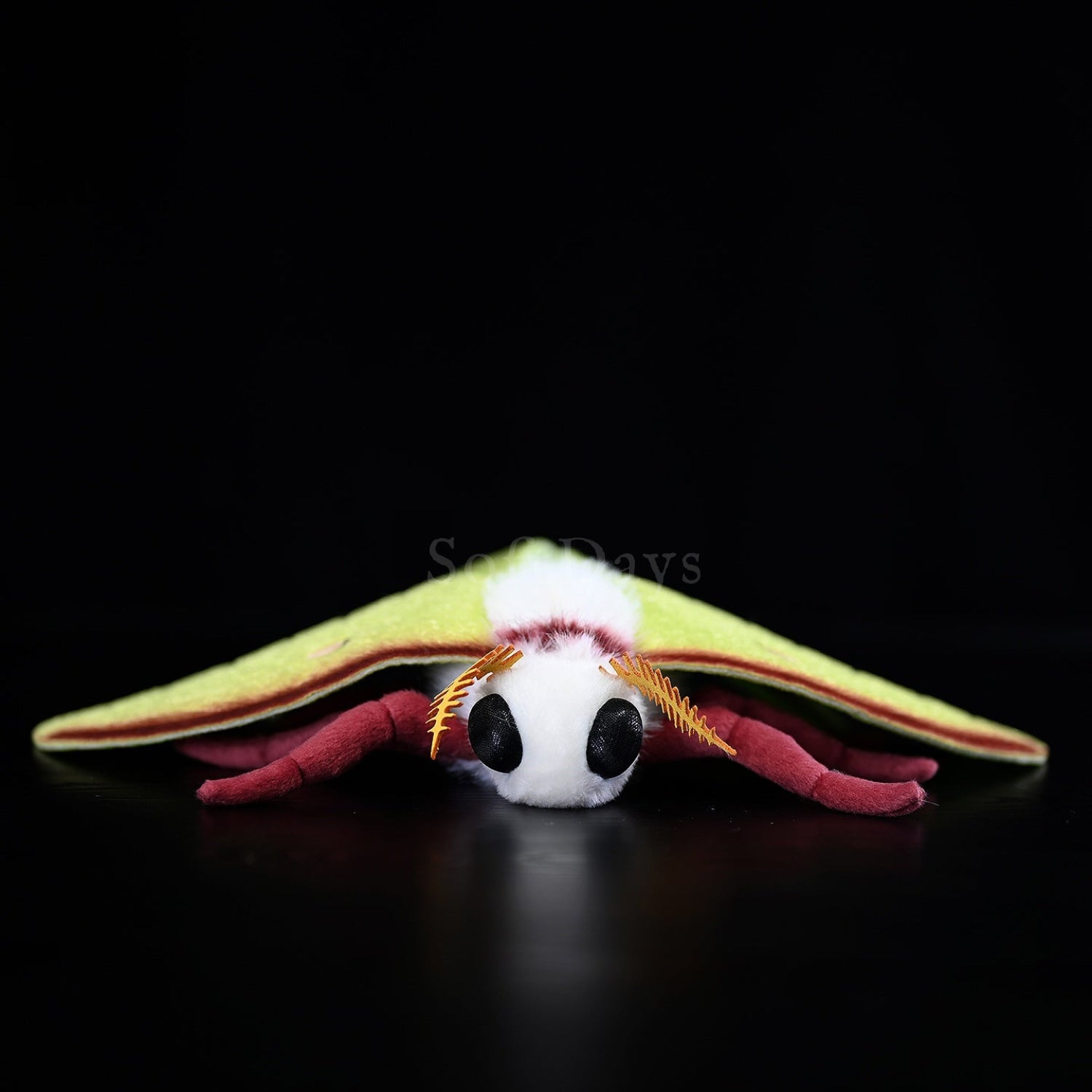 Realistic Indian Moon Moth Plush – Soft, Lifelike, and Perfect for Nature Enthusiasts