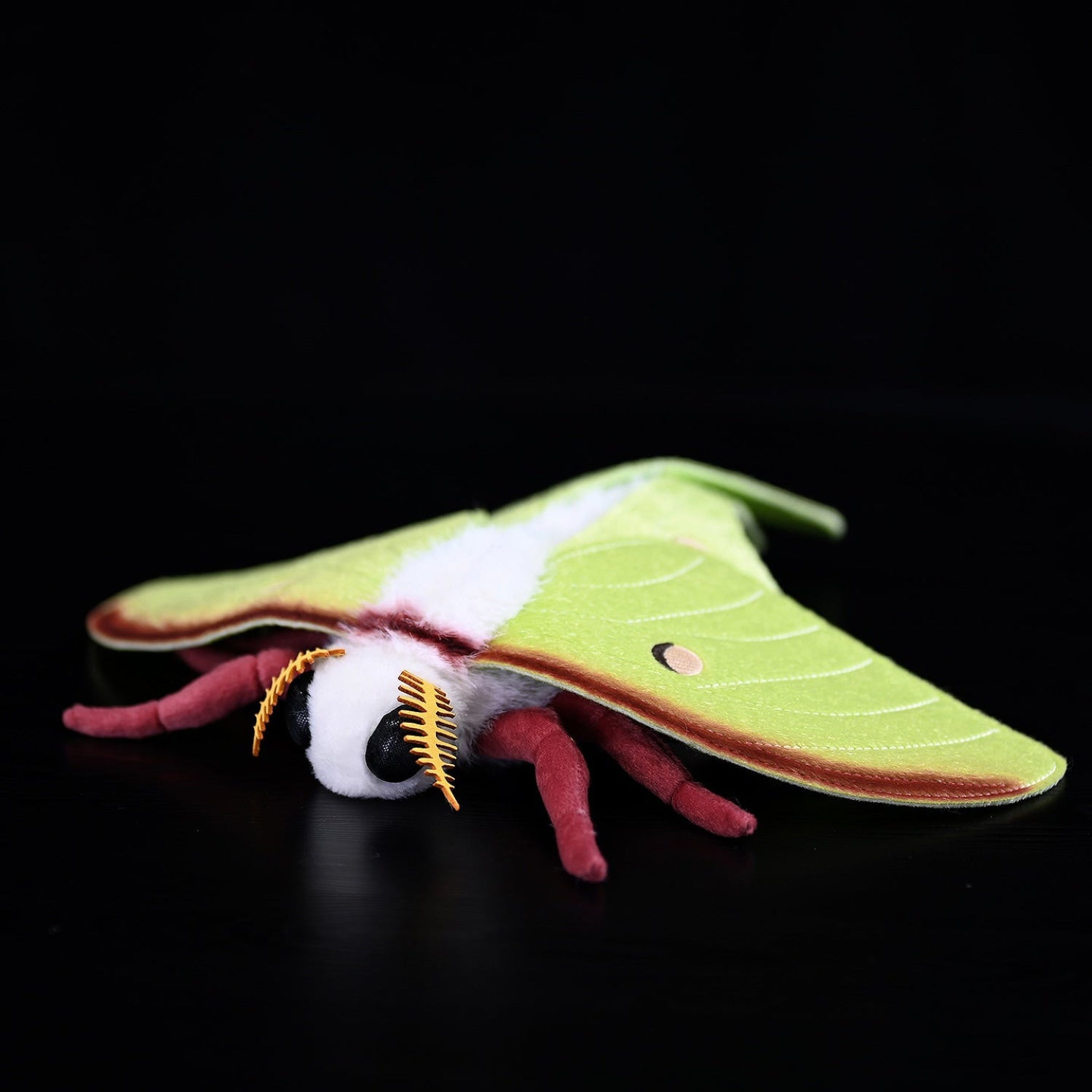 Realistic Indian Moon Moth plush crafted by SoftDaysLab, highlighting vibrant green wings and intricate stitching details