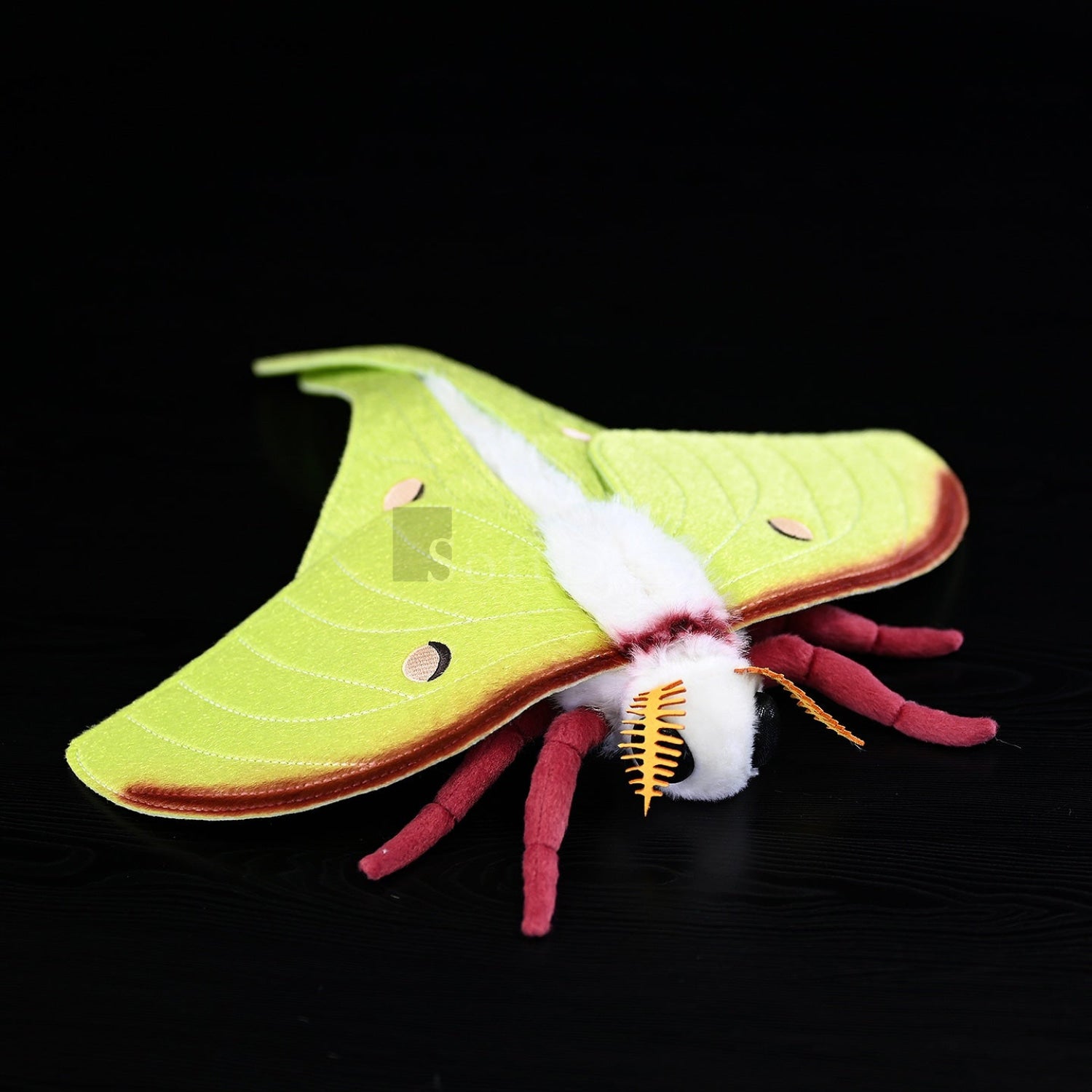 Realistic Indian Moon Moth Plush – Soft, Lifelike, and Perfect for Nature Enthusiasts