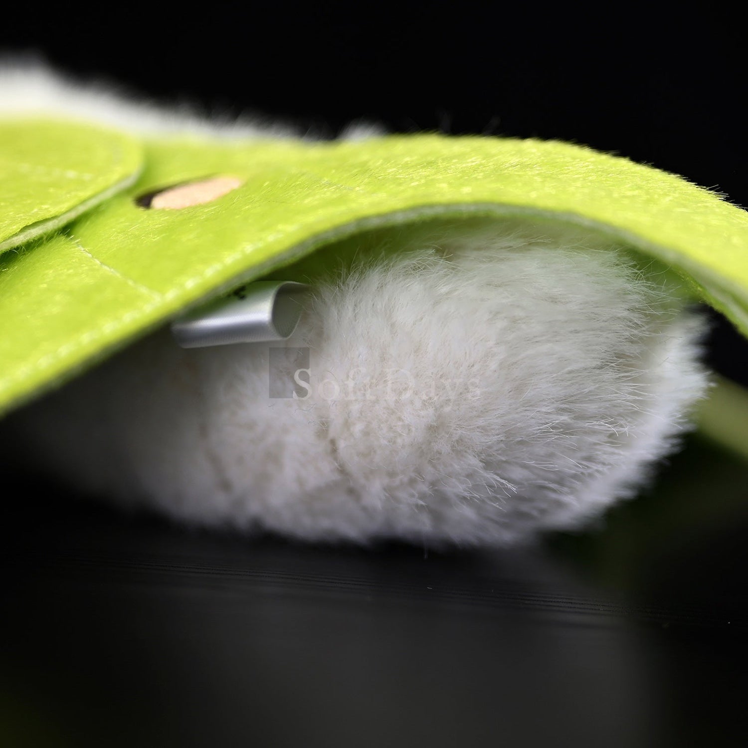 Realistic Indian Moon Moth Plush – Soft, Lifelike, and Perfect for Nature Enthusiasts