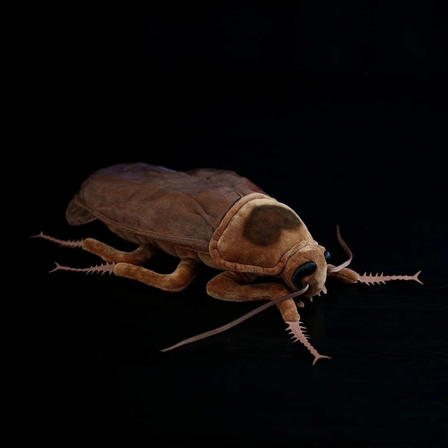 Realistic American cockroach plush toy, featuring soft texture and detailed design