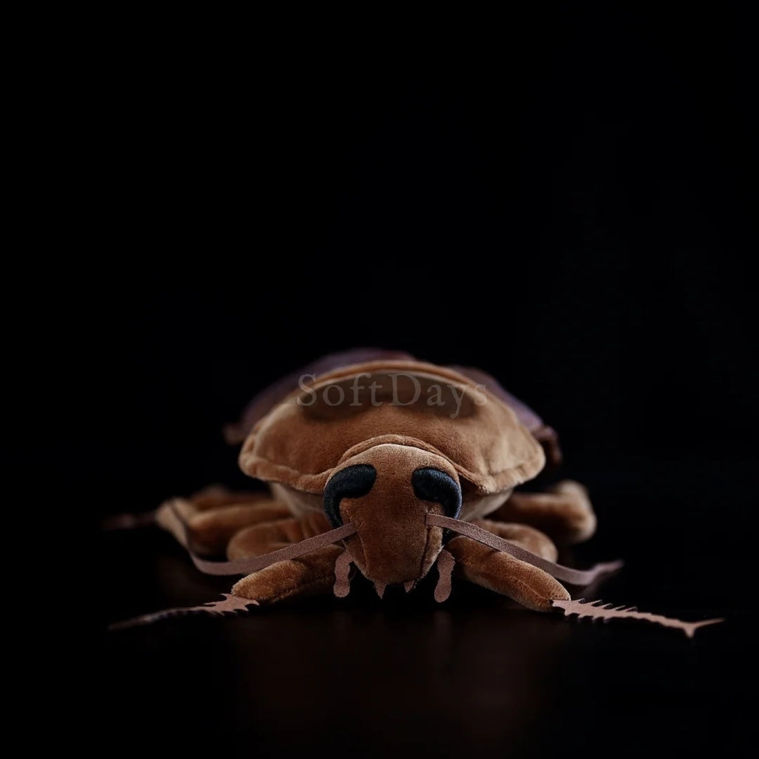 Realistic American cockroach plush toy showing detailed eyes, antennae, and soft fabric