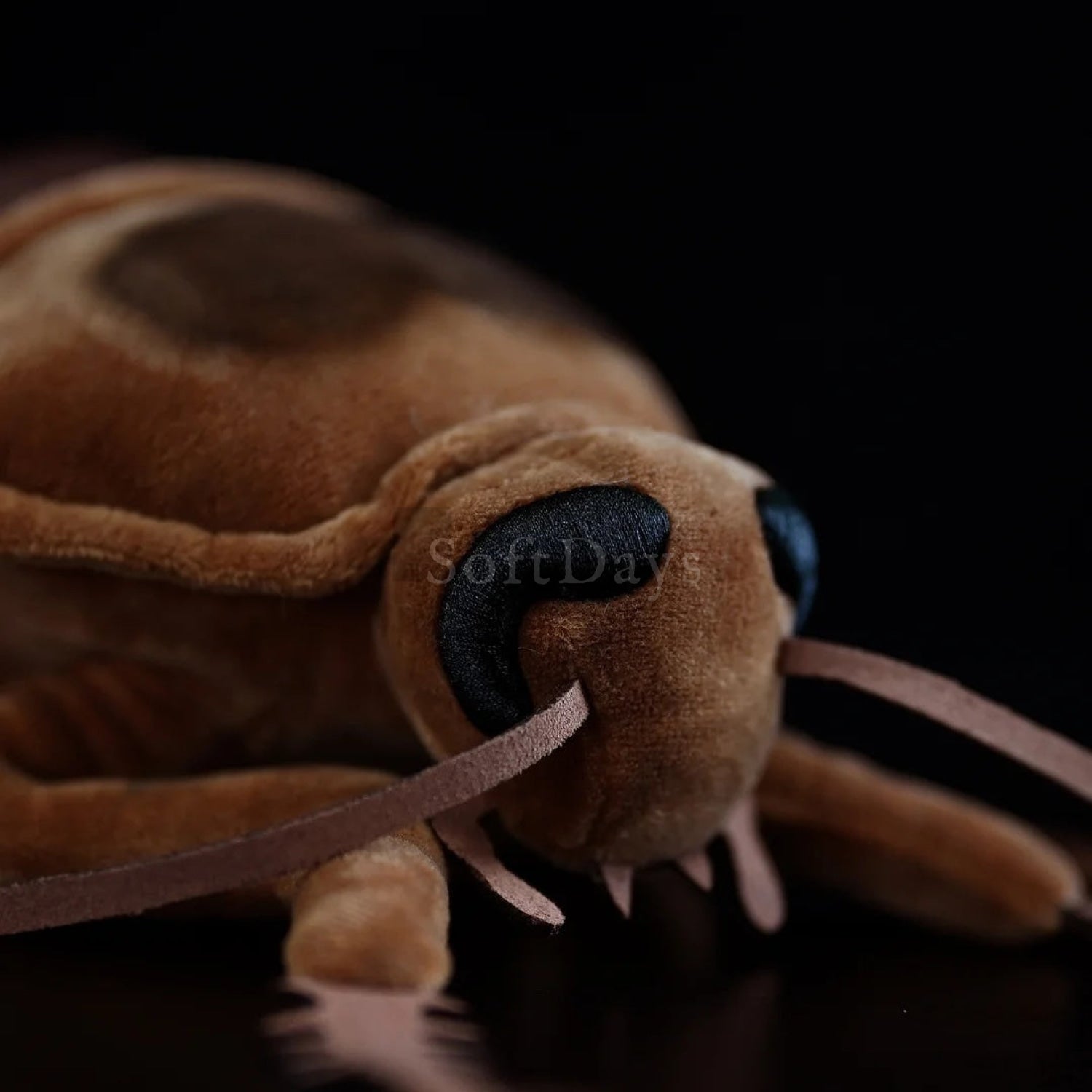 Close-up of the American cockroach plush face, showing intricate details of eyes and antennae