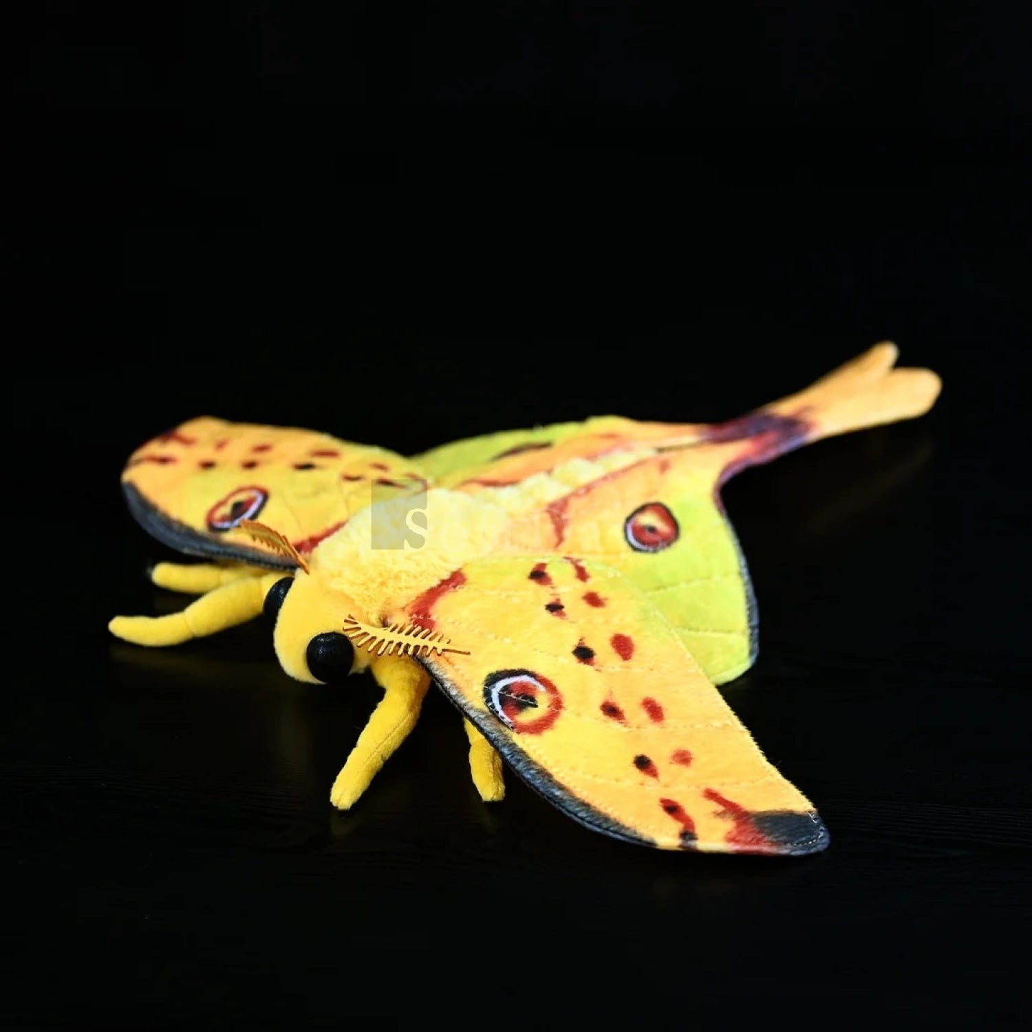 Soft comet moth plush featuring detailed eyespots and authentic insect design for moth lovers