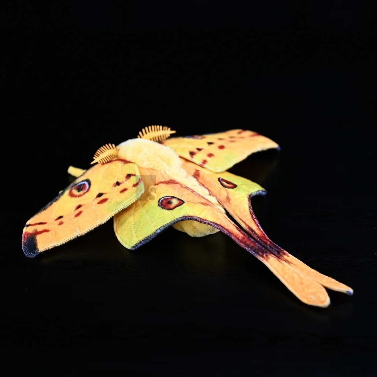 Lifelike comet moth plush with detailed wings and realistic patterns for insect and nature enthusiasts